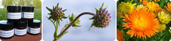headerortochmedicinal