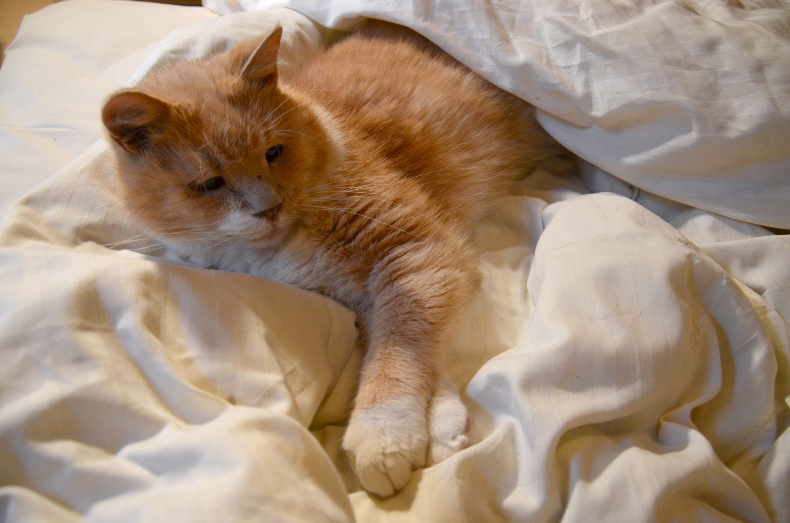 Problem är till för att lösas