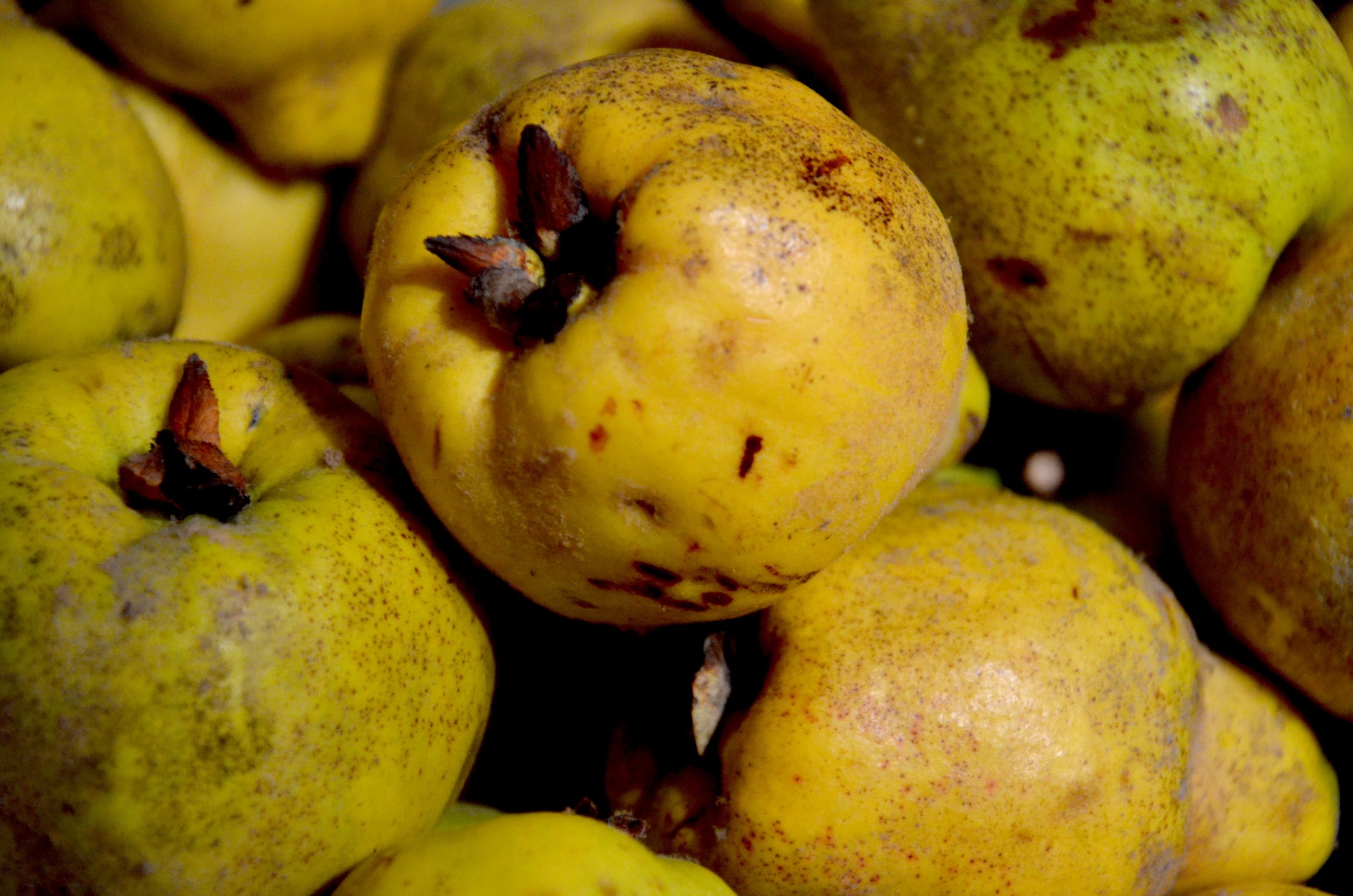 En typisk otypisk vecka.