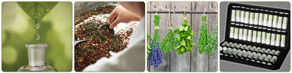 header_naturmedicin_liten