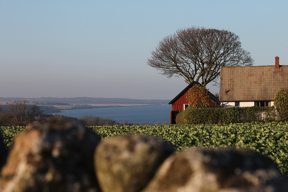 IMG_7552-(Kopie)-(2)