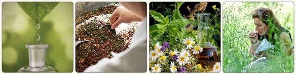 header_naturmedicin_web