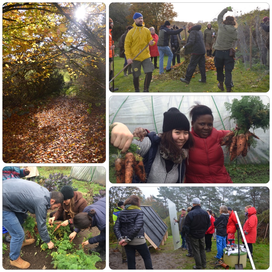 Photo_2015-10-29185101