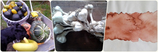 collage_akvarellkurs2016_2