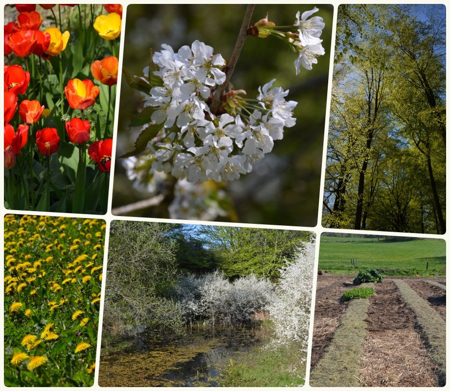 collage_blogg_200516